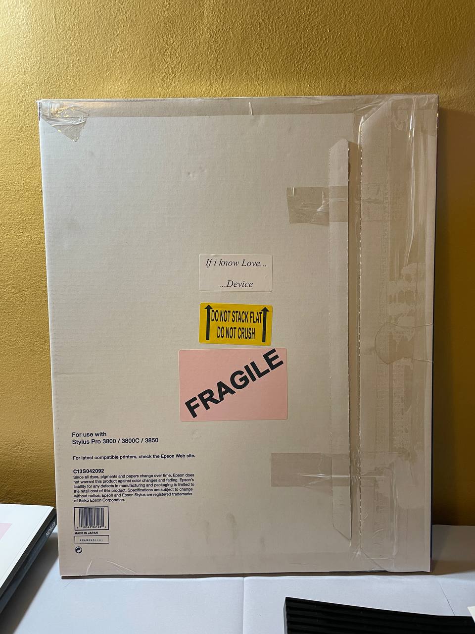 photo_2023-02-17 08.45.18.jpeg